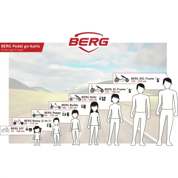 Berg Gokart Race GTS BFR Full Spec